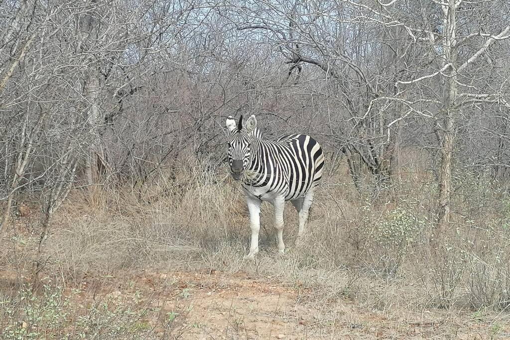 Villa Amukela Kaya Hoedspruit Exterior foto