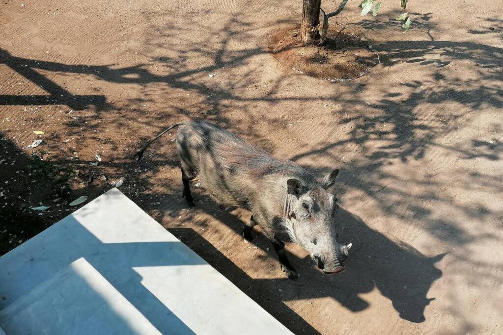 Villa Amukela Kaya Hoedspruit Exterior foto