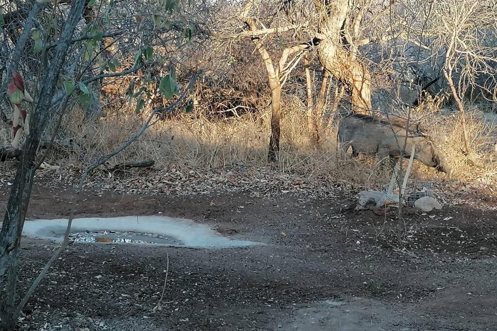 Villa Amukela Kaya Hoedspruit Exterior foto