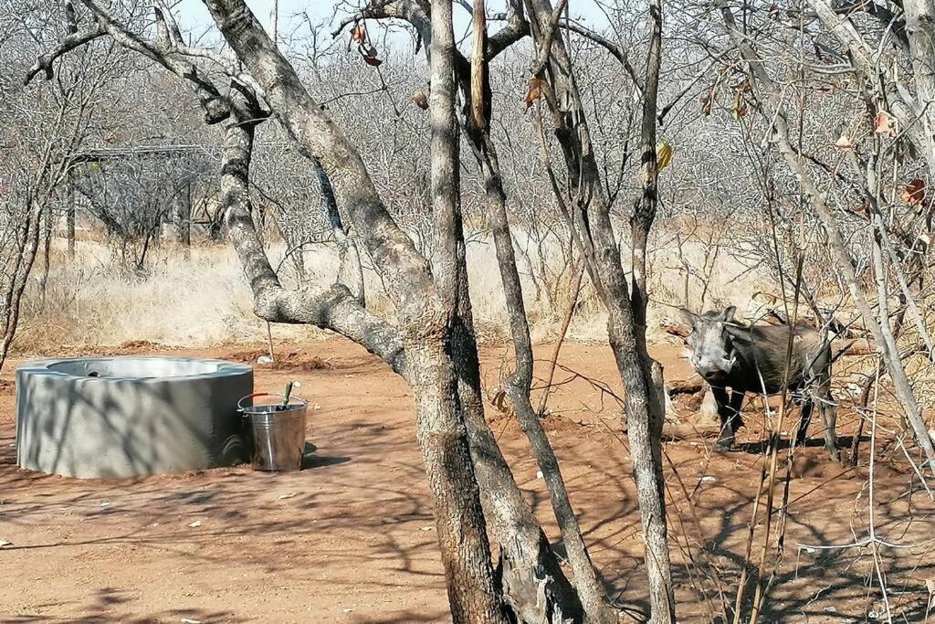 Villa Amukela Kaya Hoedspruit Exterior foto